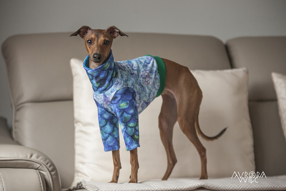 tailor-made dog clothing