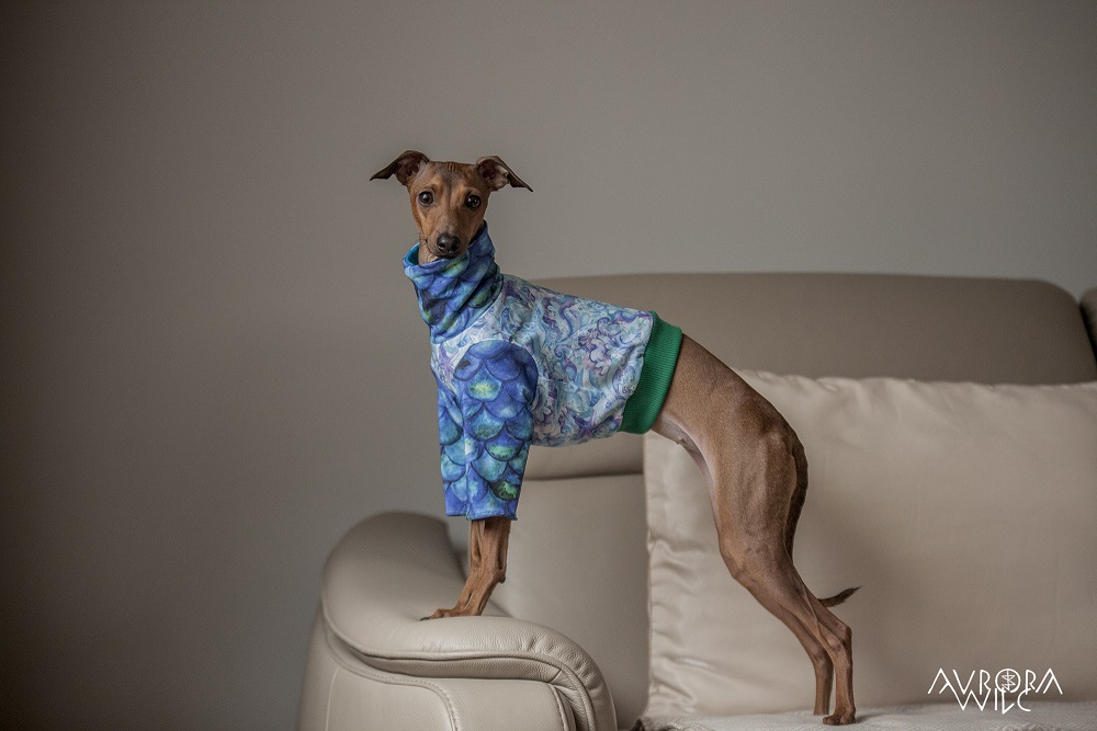 tailor-made dog clothing