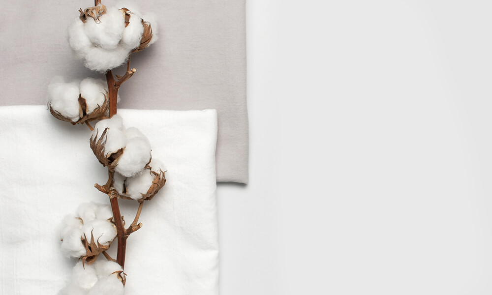 Organic cotton - why is it better than the conventional one?