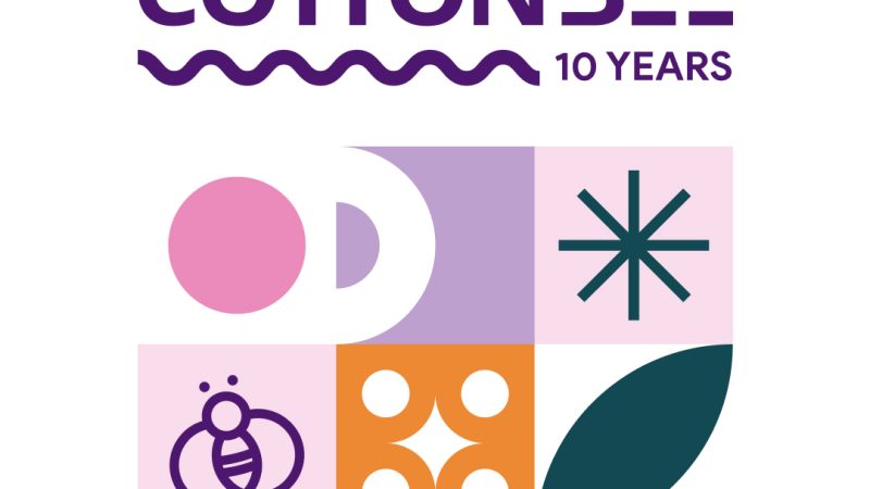 10 ans de CottonBee : histoire, défis et succès  