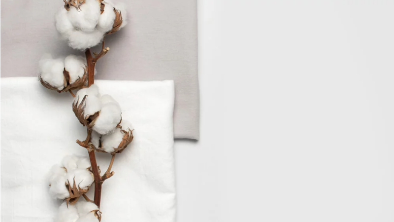 Coton biologique : Pourquoi est-il meilleur que le coton conventionnel ?
