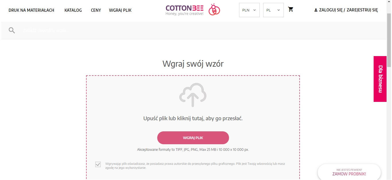 zrzut ekranu ze strony ctnbee.com