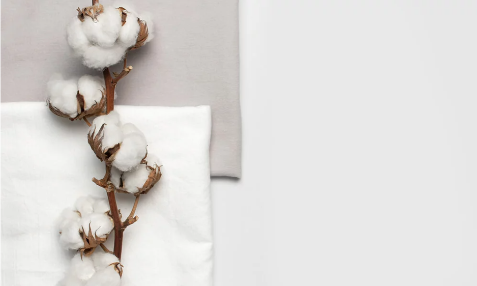 Coton biologique vs coton conventionnel coton bio avantages du coton biologique coton durable fast fashion et coton certification coton biologique (GOTS, Oeko-Tex)